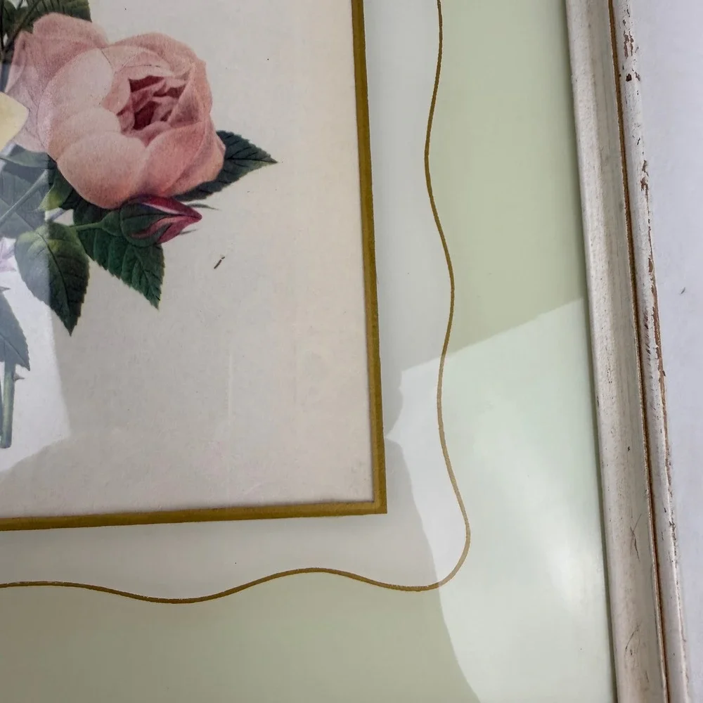 N/A vintage botanical